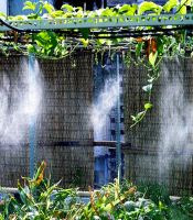 Lắp đặt máy phun sương tại quận 11