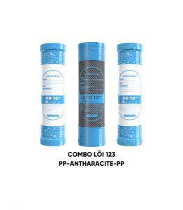 COMBO lõi lọc nước số 123