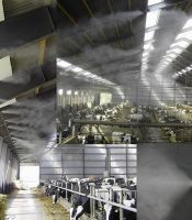 Lắp đặt máy phun sương tại Tân Bình