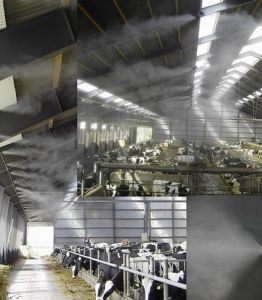 Lắp đặt máy phun sương tại Tân Bình