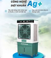 Quạt hơi nước Daikiosan DM116