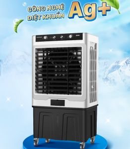 Quạt hơi nước Daikiosan DM203