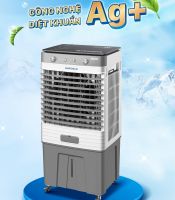 Quạt hơi nước Daikiosan DM202