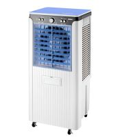 Quạt hơi nước Daikiosan DM113