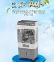 Quạt hơi nước Daikiosan DM101