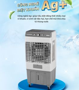 Quạt hơi nước Daikiosan DM101